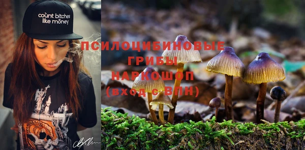 марки nbome Беломорск