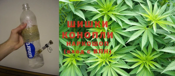 гидра Белоозёрский