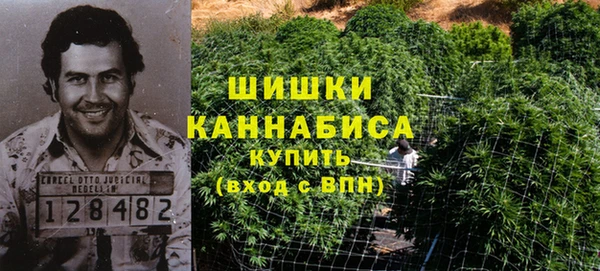 гидра Белоозёрский