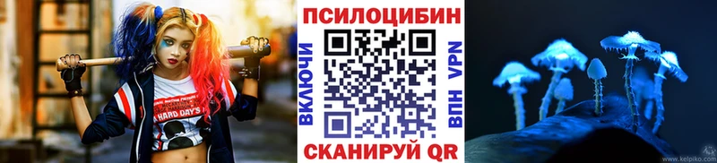 закладка  Ворсма  Псилоцибиновые грибы MAGIC MUSHROOMS 
