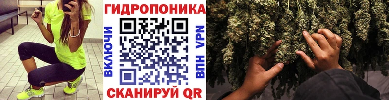 Шишки марихуана семена мега сайт Ворсма